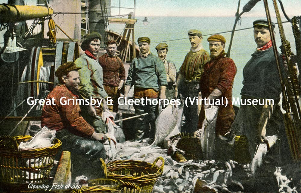 Cleaning fish at sea by ‘Jay Em Jay Gy Series’, Grimsby c1909.