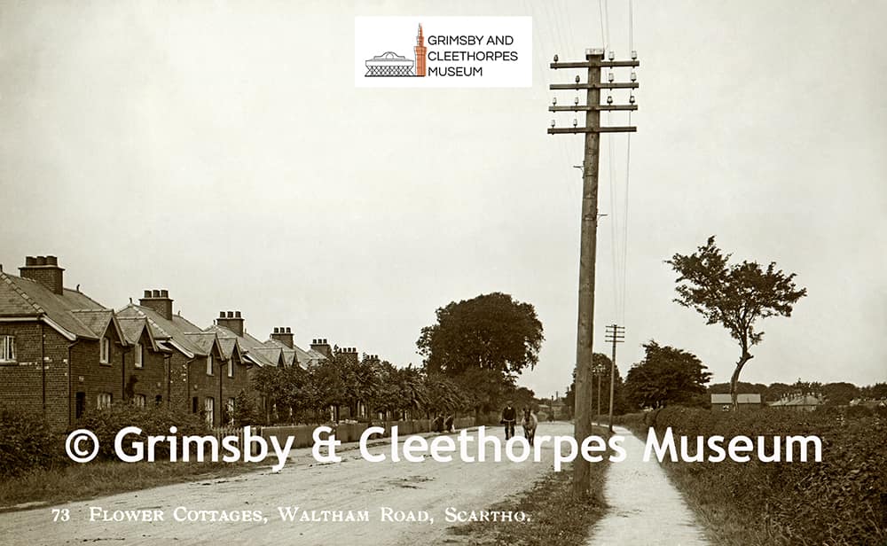 The ‘Flower Cottages’ on Waltham Road, Scartho c1914.