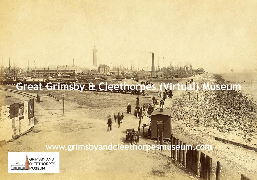 Albumen photo of Grimsby Docks c1870s.