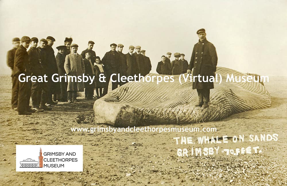 The Whale on Sands, Grimsby c1907.